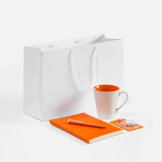 Набор Flat White: ежедневник недатированный, кружка, чехол для пропуска, ретрактор, ручка шариковая, пакет бумажный, оранжевый / белый фото