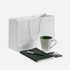 Набор Flat White: ежедневник недатированный, кружка, чехол для пропуска, ретрактор, ручка шариковая, пакет бумажный, зеленый / белый фото