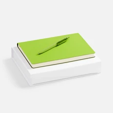 Набор Flex Shall Simple: ежедневник недатированный, ручка шариковая, светло-зеленый фото