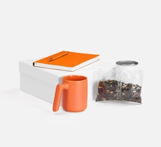 Набор Flex Shall Tea: ежедневник, кружка, тубус, чай, шариковая ручка, оранжевый фото