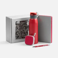Набор Flexpen Flow: ежедневник недатированный, колонка, бутылка для воды, ручка шариковая, серый / красный фото