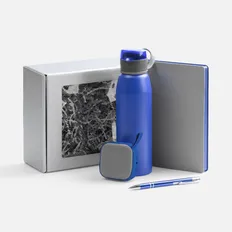 Набор Flexpen Flow: ежедневник недатированный, колонка, бутылка для воды, ручка шариковая, серый / синий фото