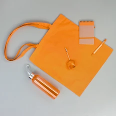 Набор «Фреш»: блокнот, ручка шариковая, бутылка для воды, клип для записей, шоппер, оранжевый фото