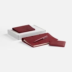 Набор InStream Maxi: ежедневник недатированный, обложка для паспорта, чехол для карточек, ручка шариковая, красный фото