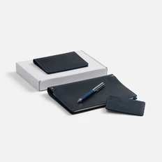 Набор InStream Maxi: ежедневник недатированный, обложка для паспорта, чехол для карточек, ручка шариковая, синий фото