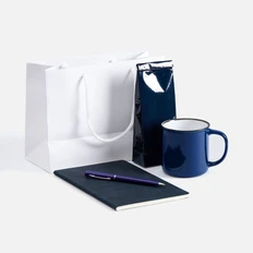 Набор Luba: блокнот А5, ручка шариковая, чай черный, кружка, синий / белый фото