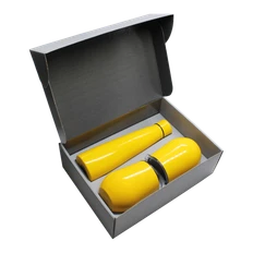 Набор New Box C2 grey: 2 кофера, термобутылка, желтый фото