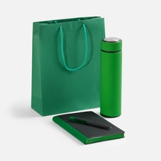 Набор Nice Twice Pack: недатированный ежедневник, термос с ситечком, ручка шариковая, зеленый / черный фото