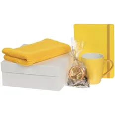 Набор Pastels: шарф Glenn, ежедневник Flex Shall, кружка Promo, специи для глинтвейна Autumn Joy, желтый фото