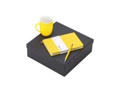 Набор подарочный Color It: блокнот, металлическая ручка и кружка, желтый фото