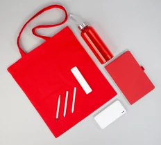 Набор подарочный In Red: внешний аккумулятор 10000 mAh, сумка, бутылка для воды, блокнот, две ручки, вечный карандаш, красный / белый фото