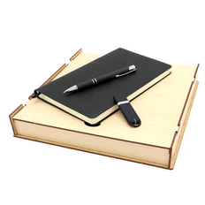 Набор подарочный «Лэнни Shape»: блокнот, ручка шариковая, флешка, черный фото