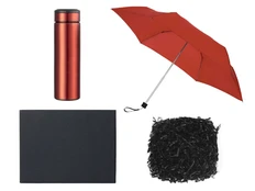Набор подарочный: зонт, термос, черный / красный фото