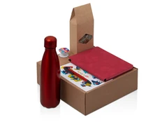 Набор Teanote: термобутылка, блокнот, ручка, чай, бежевый / красный фото