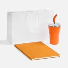 Набор Urban Pack: термостакан и блокнот, оранжевый / белый фото