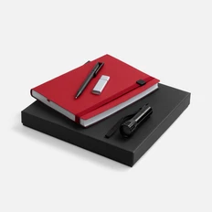 Набор Vivid Maxi: ежедневник недатированный, флешка, фонарик, ручка шариковая, шильдик на резинку, красный фото