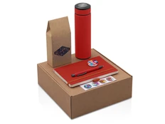 Набор Warmpage: термос, блокнот, ручка, чай, бежевый / красный фото