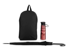 Набор Water Element: бутылка для воды, зонт, рюкзак, черный / красный фото