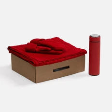 Набор Wintrish: шарф, варежки, термос с ситечком, красный фото