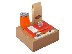 Набор Writea: ежедневник, ручка, термокружка, оранжевый / красный фото