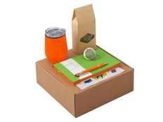 Набор Writea: ежедневник, ручка, термокружка, оранжевый / салатовый фото