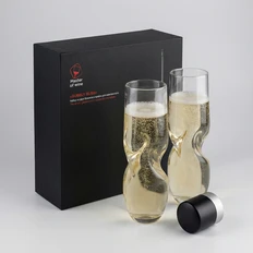 Набор из двух бокалов и пробки для шампанского Master of Wine Bubbly Bliss, прозрачный / черный фото