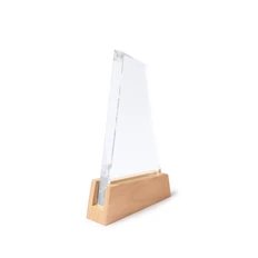 Награда стеклянная Stamina Navis, прозрачная фото