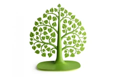 Органайзер декоративный для украшений Bodhi, зеленый фото