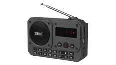 Радиоприемник-колонка Ritmix RPR-010, серый фото