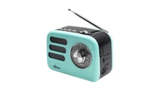 Радиоприемник-колонка Ritmix RPR-033, салатовый фото