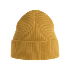 Шапка в рубчик с отворотом Atlantis Nelson, горчичная фото