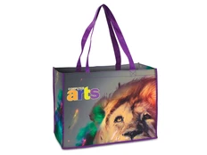 Сумка для шопинга с возможностью полноцветной печати, 40,6 x 30,5 x 15,2 см, 16 цветов фото