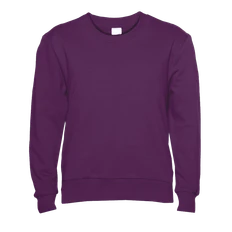 Свитшот детский Stan 63J, футер без начеса, 260 гр/м2, темно-фиолетовый фото