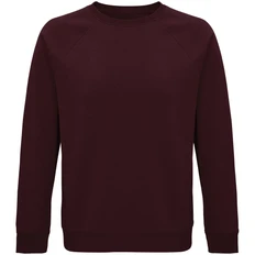 Свитшот Sol's Space, бордовый фото