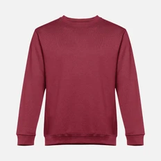 Свитшот унисекс TH Clothes Delta, бордовый фото