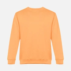 Свитшот унисекс TH Clothes Delta, светло-оранжевый фото
