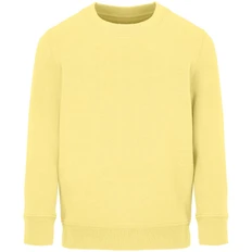 Свитшот детский Sol's Columbia Kids, светло-желтый фото