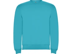 Свитшот детский с начесом Roly Clasica, бирюзовый фото