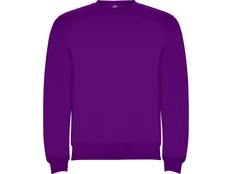Свитшот детский с начесом Roly Clasica, фиолетовый фото