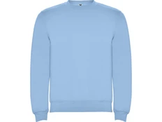 Свитшот детский с начесом Roly Clasica, голубой фото