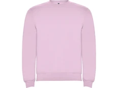 Свитшот детский с начесом Roly Clasica, розовый фото