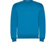 Свитшот с начесом детский Roly Clasica, бирюзовый фото