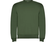 Свитшот с начесом Roly Clasica, хаки фото