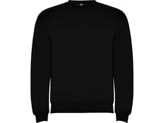 Свитшот с начесом Roly Clasica, насыщенный черный фото