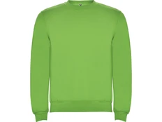 Свитшот с начесом Roly Clasica, светло-зеленый фото