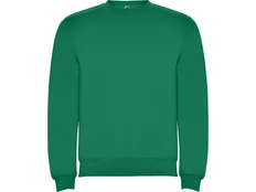 Свитшот с начесом Roly Clasica, зеленый фото