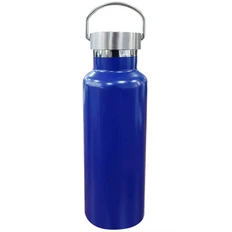 Термобутылка Sakura, 500 мл, синяя фото