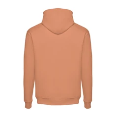 Толстовка мужская с капюшоном TH Clothes Phoenix, коричневая фото