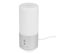 Увлажнитель воздуха с подсветкой Breathe, белый/серебристый фото