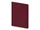 Бизнес-тетрадь Bruno Visconti Pragmatic Contrast А5, бордовая фото